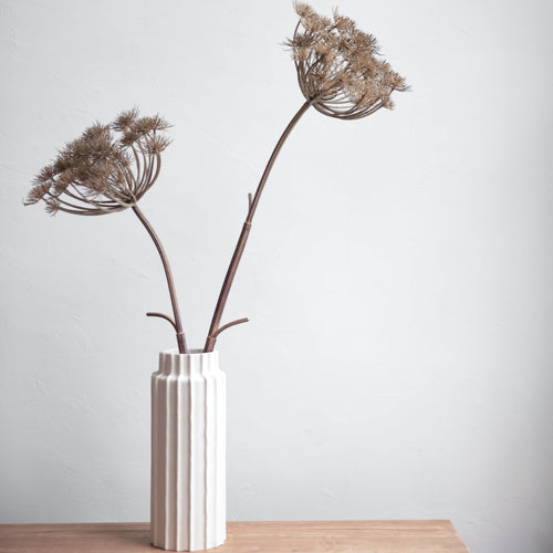 Abigail Ahern Faux Flowers_Wild Angelica