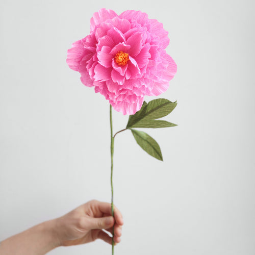 Paper Flower Peony Magenta Pink