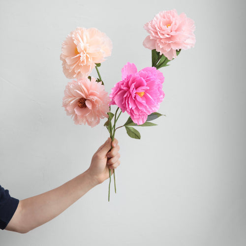 Paper Flower Peony Magenta Pink_Petal