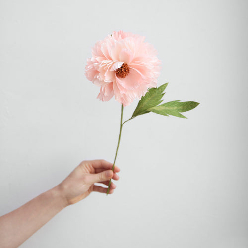 Paper Flower Peony Petal Pink